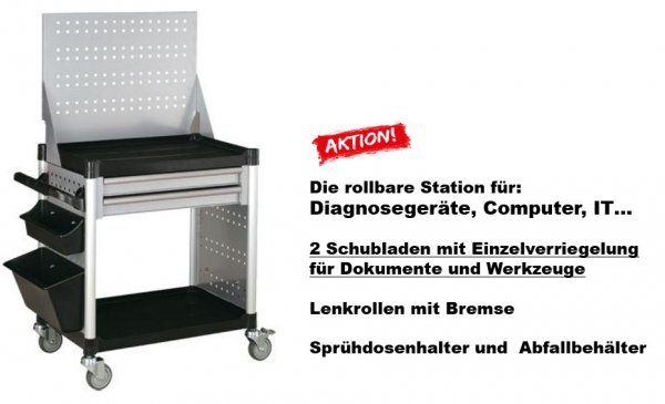 Werk-Meister Diagnose!