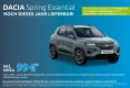 Dacia Spring Essential Pflege